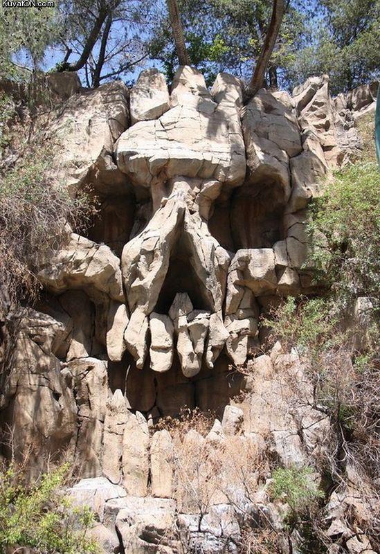 nature_art_skull.jpg