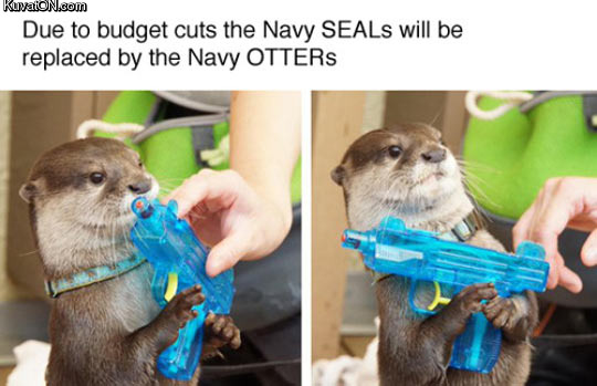 navy_otter.jpg