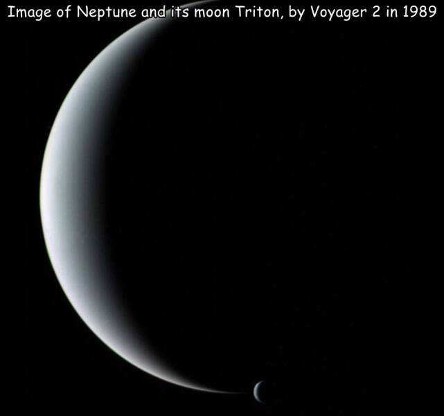 neptunus.jpg