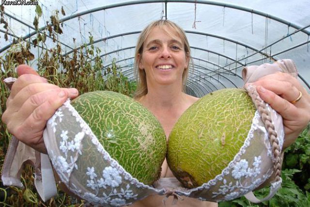 nice_melons.jpg