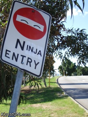 ninja4.jpg