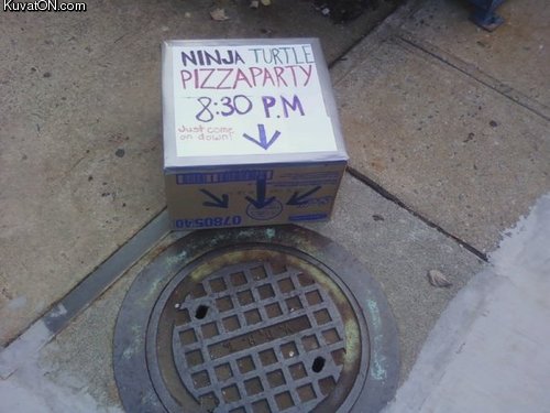 ninja_turtle_pizzaparty.jpg