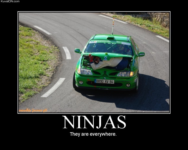 ninjas.jpg