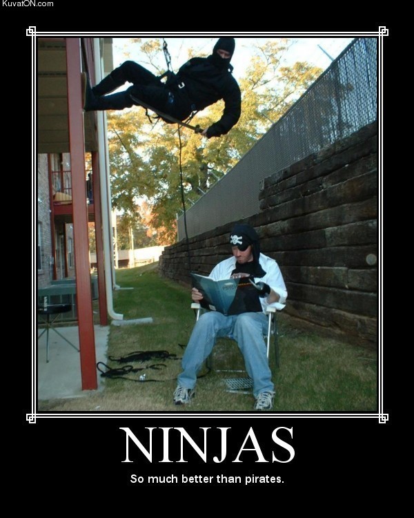 ninjas2.jpg
