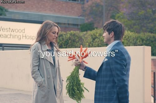 no_flowers.jpg