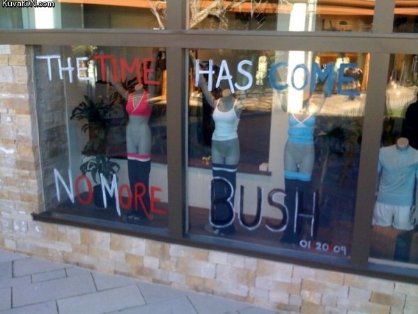 no_more_bush.jpg