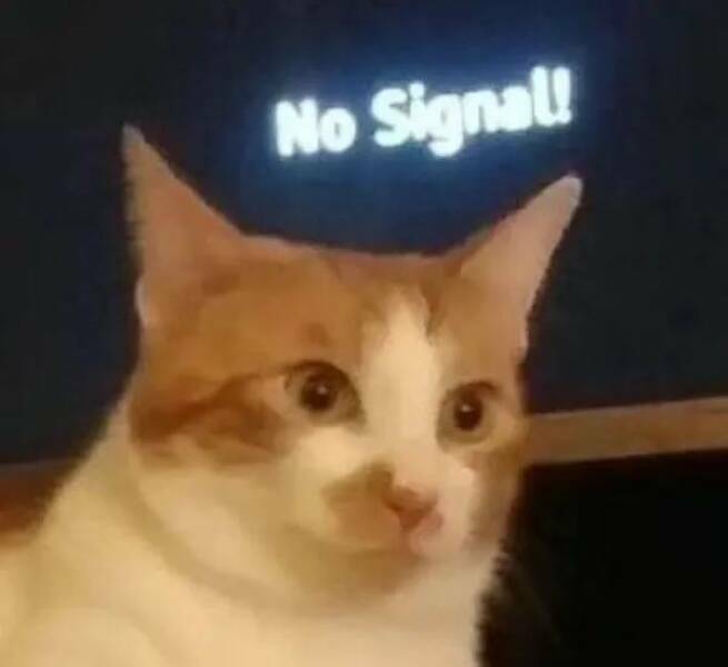no_signal3.jpg