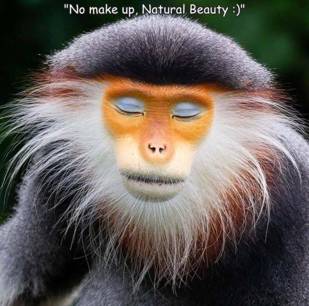 nomakeup.jpg