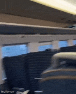 normipaiva67.gif