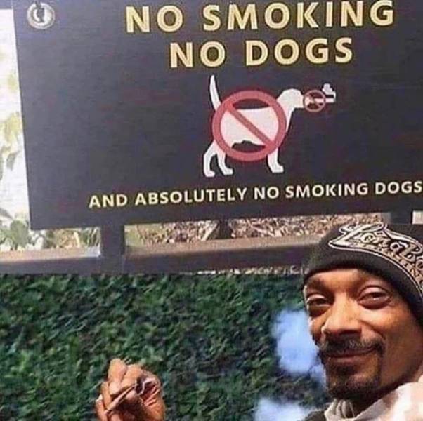 nosmoke_nodogs.jpg