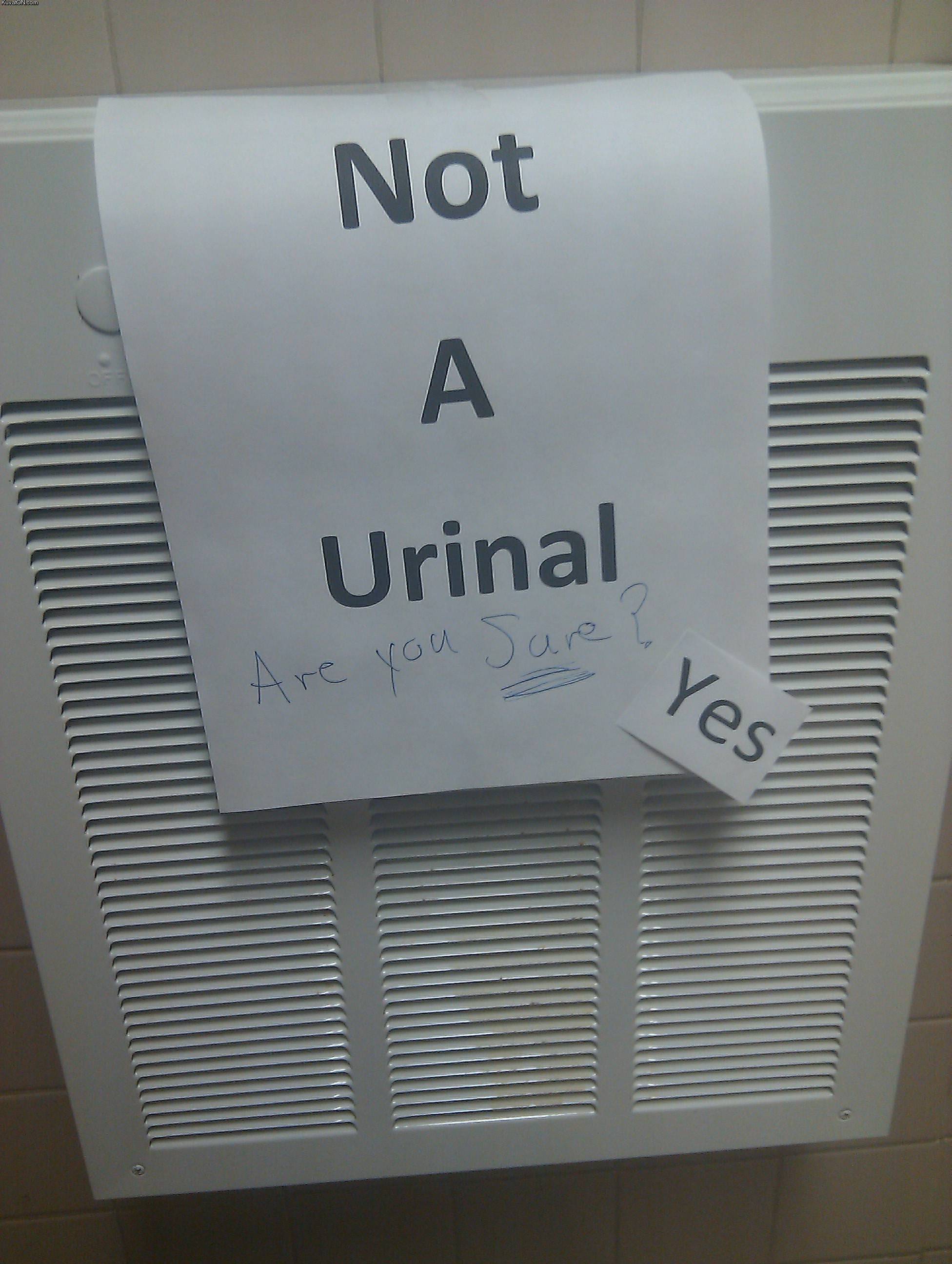 not_a_urinal.jpg