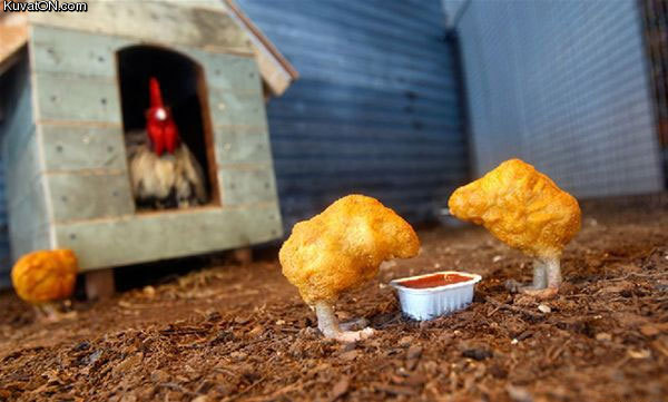 nuggets.jpg