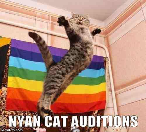 nyan_cat_auditions.jpg