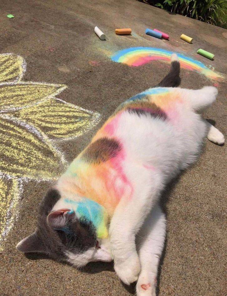 nyancat3.jpg