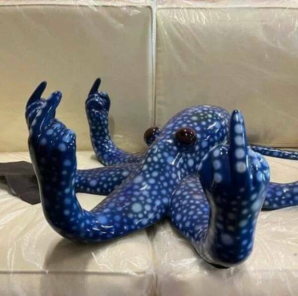 octopus4.jpg
