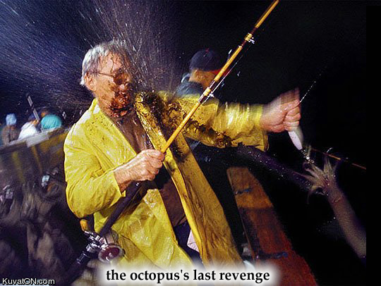 octopus_last_revenge.jpg