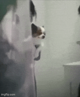 oh_no_5.gif