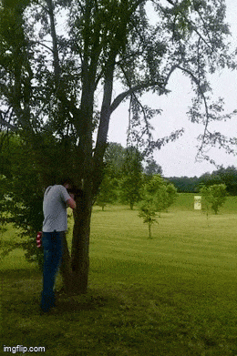 old_but_gold3.gif