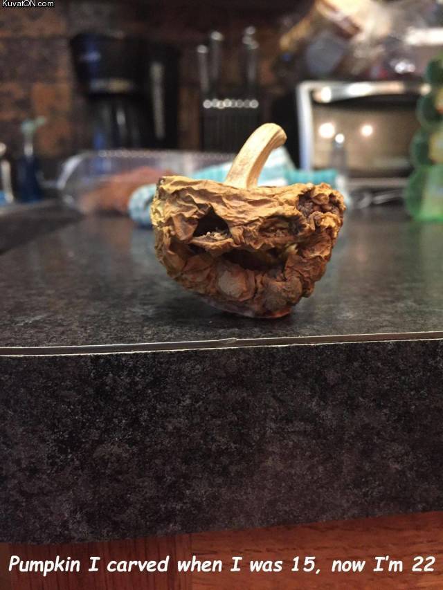 old_pumpkin.jpg