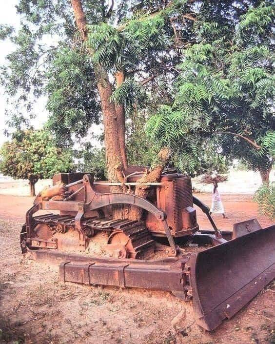 oldtractor.jpg