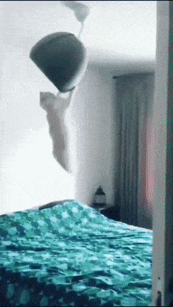 omaa_kivaa_3.gif