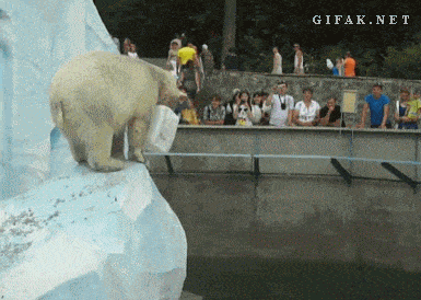 omat_kivat.gif