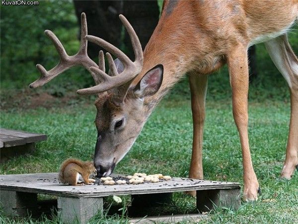 omnomnomnom49.jpg