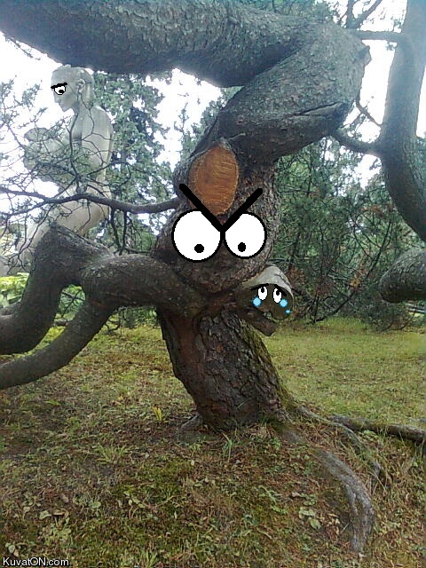 omnomnomnom_tree.jpg
