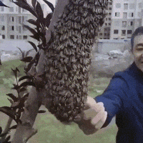 on_ötökkää.gif