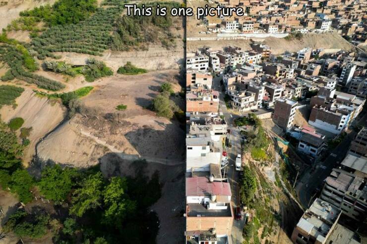 onepicture.jpg