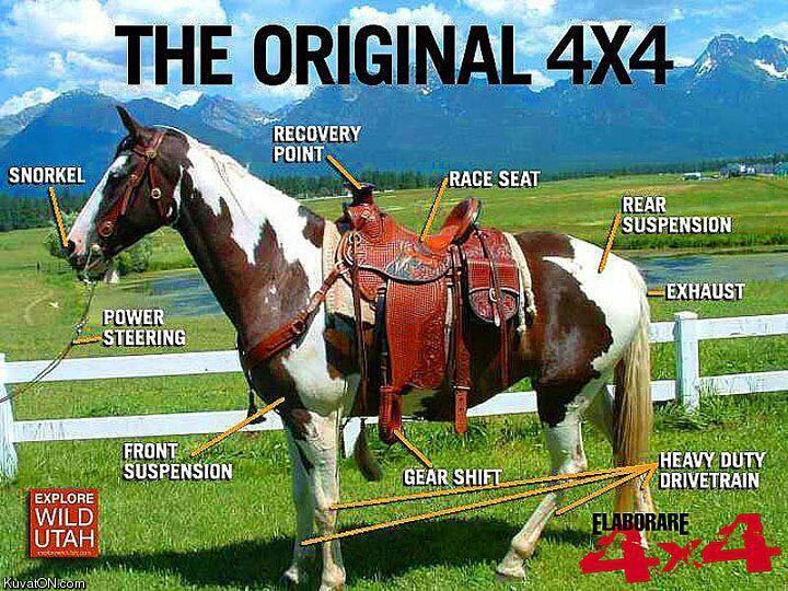 original_4x4.jpg