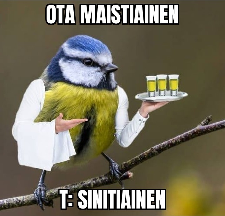 ota_siita.jpg