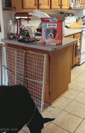 otappa_siitä_ja_siitä.gif