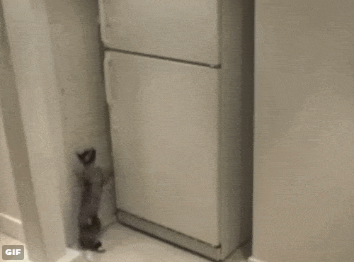 ovi_auki4.gif