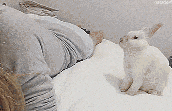 paivaunille7.gif