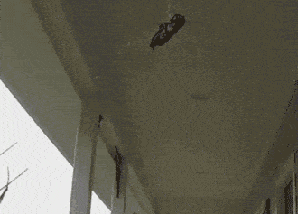 pakettiin3.gif