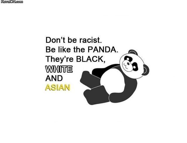panda3.jpg