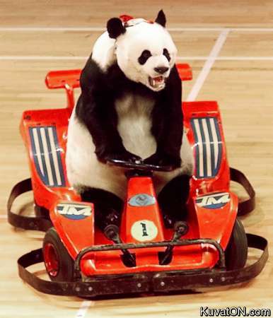 panda_karting.jpg