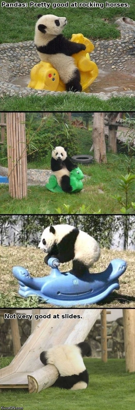 pandas.jpg