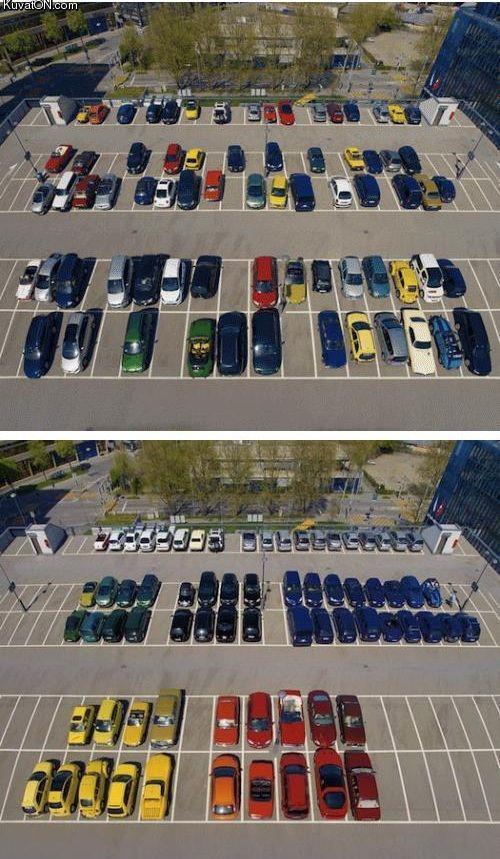 parking4.jpg