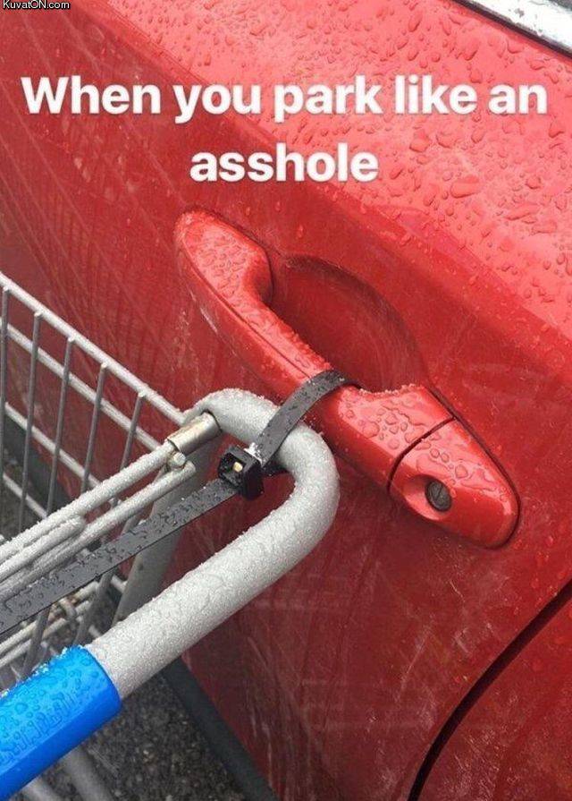 parking_like_a_asshole.jpg