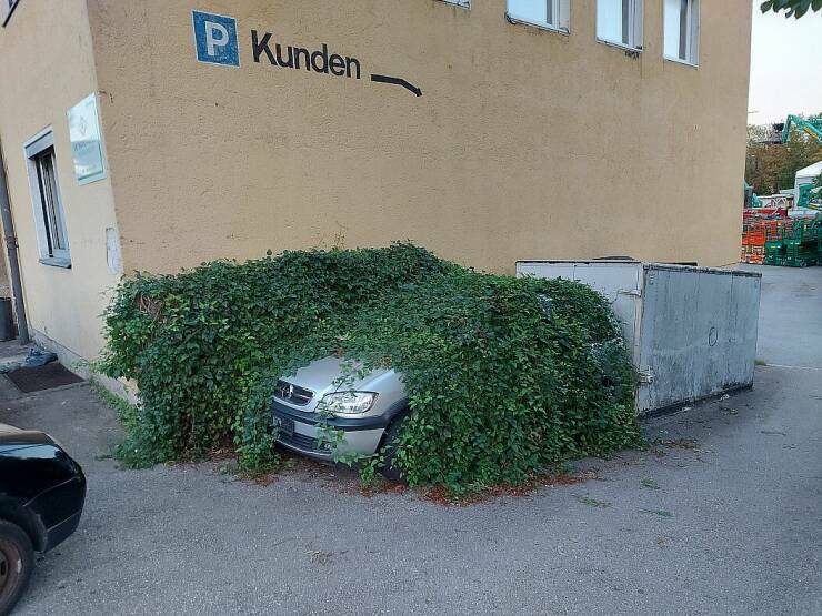 parkkipaikka15.jpg