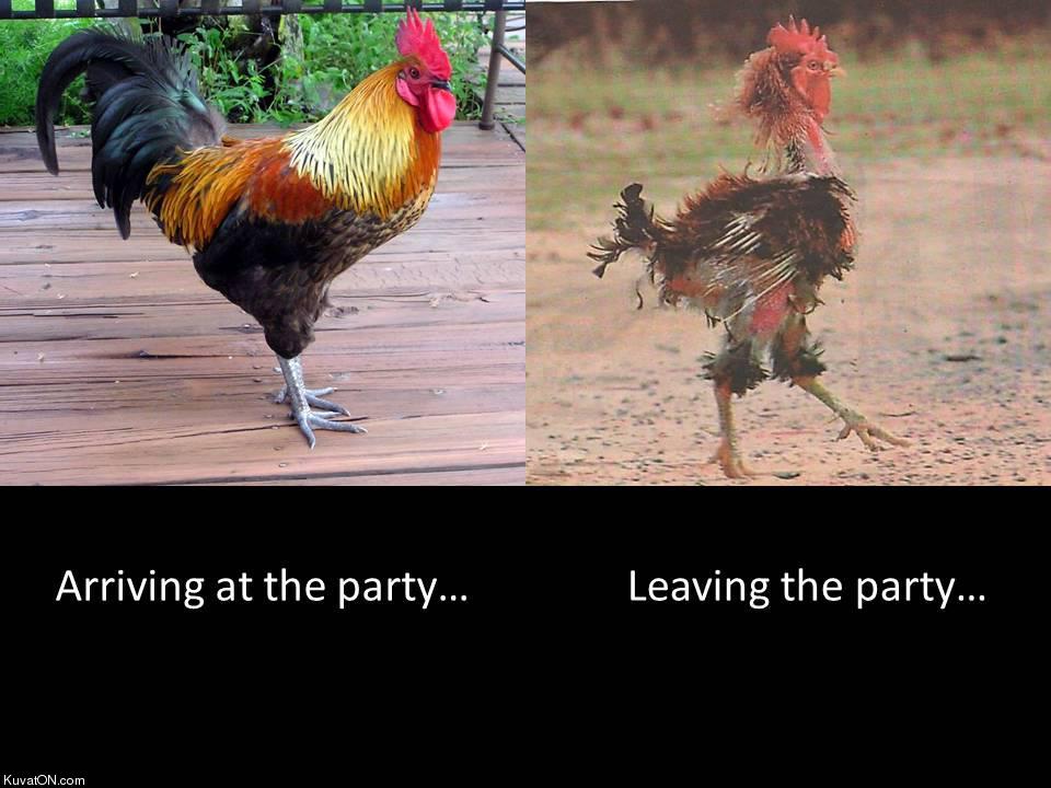 party_cock.jpg