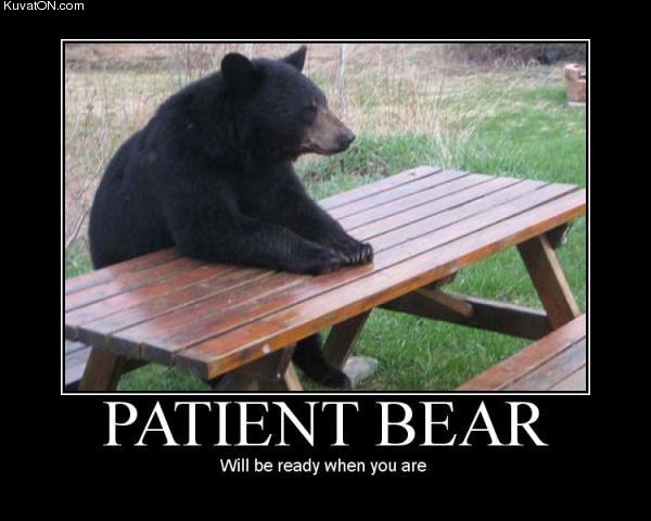 patient_bear.jpg