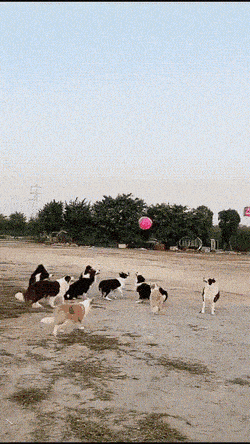 pelihetki5.gif