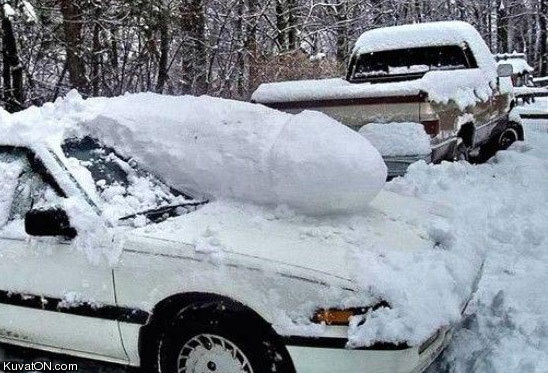 penis_car.jpg