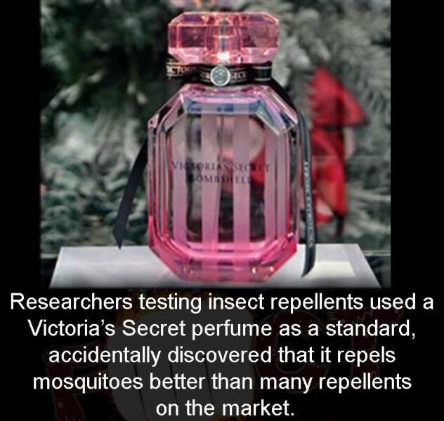 perfume.jpg
