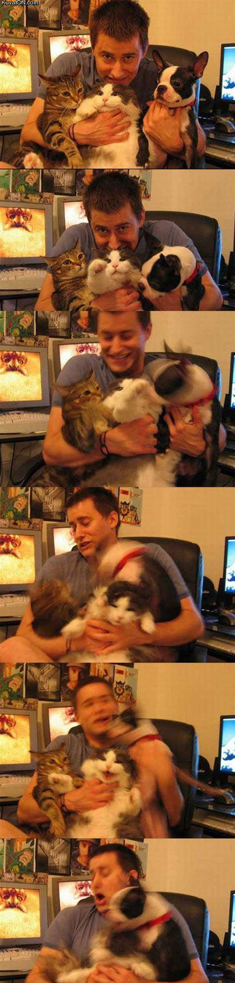 pet_cam.jpg