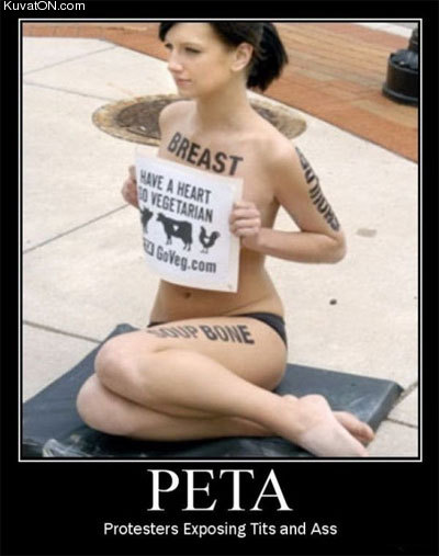peta.jpg