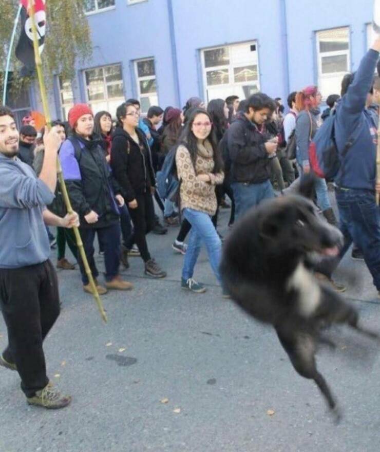 photobomb23.jpg